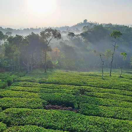 Best Mist Idukki Buitenkant foto