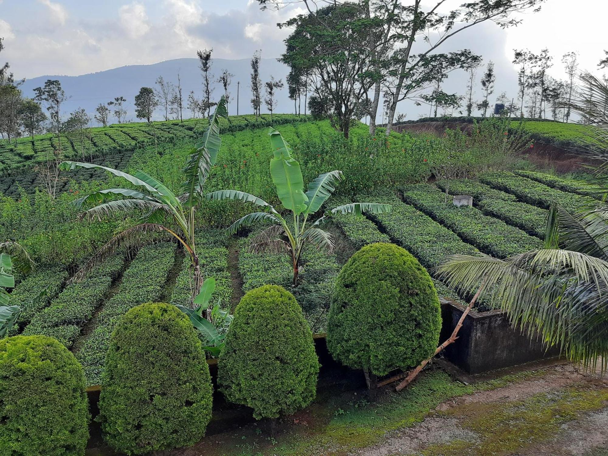 Best Mist Idukki Buitenkant foto