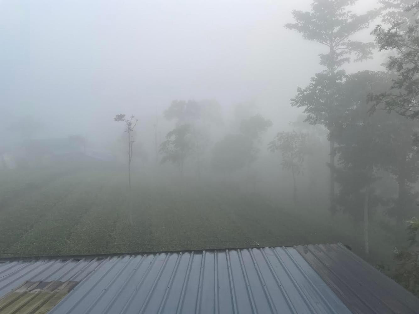 Best Mist Idukki Buitenkant foto