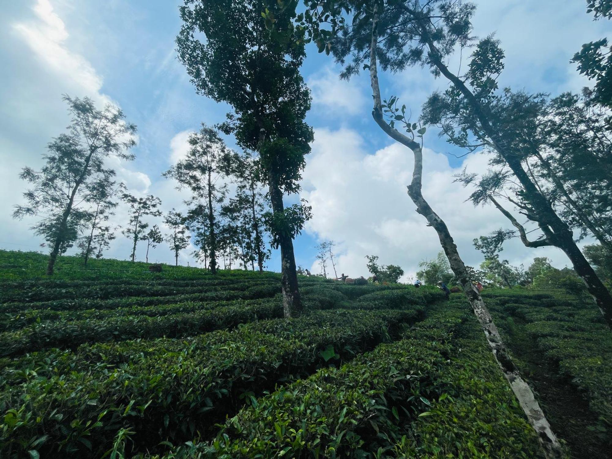 Best Mist Idukki Buitenkant foto