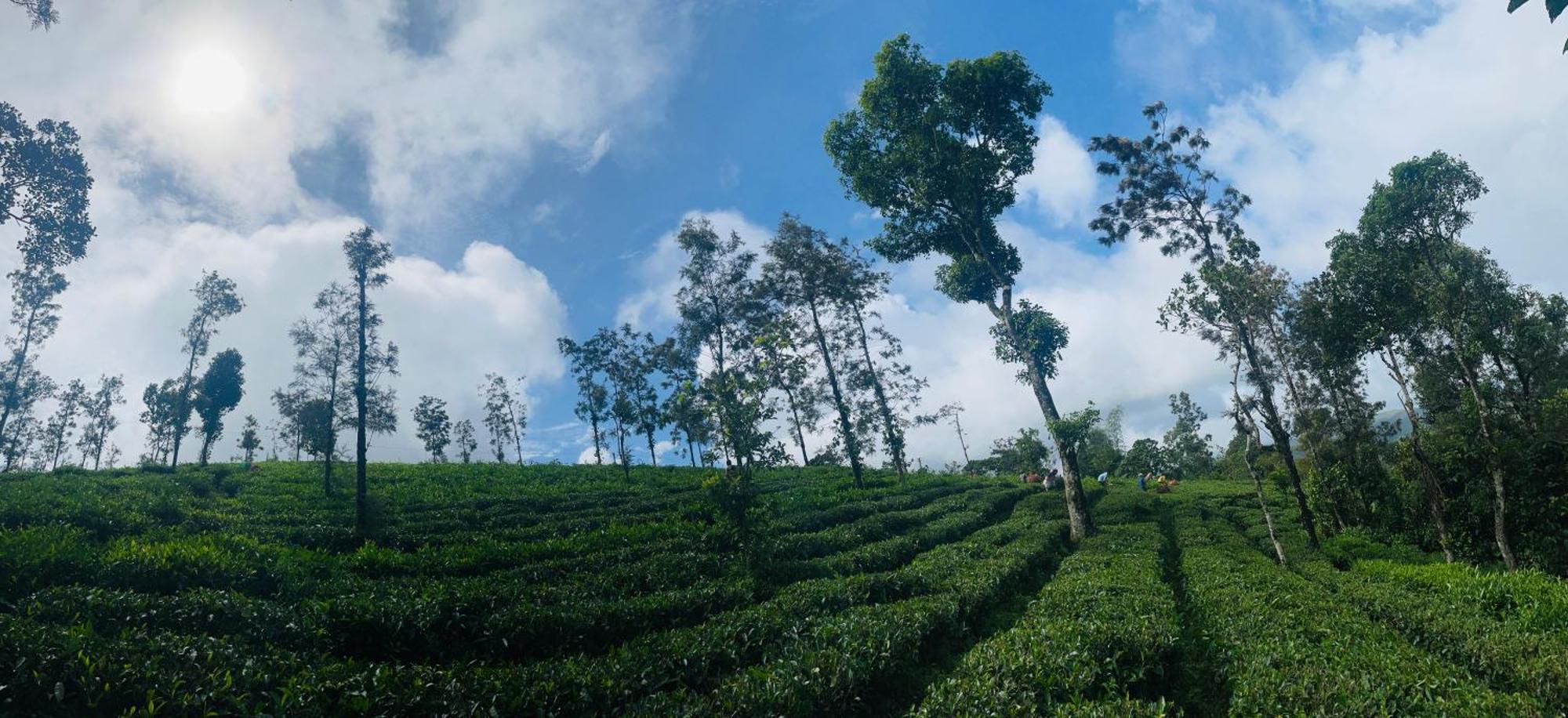 Best Mist Idukki Buitenkant foto