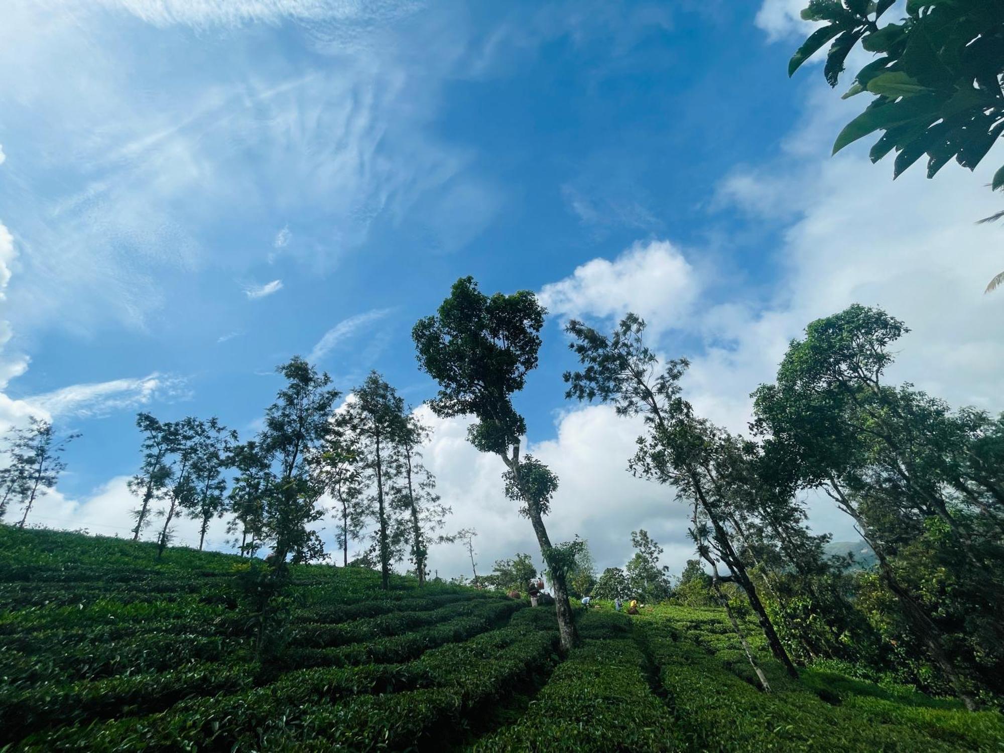 Best Mist Idukki Buitenkant foto