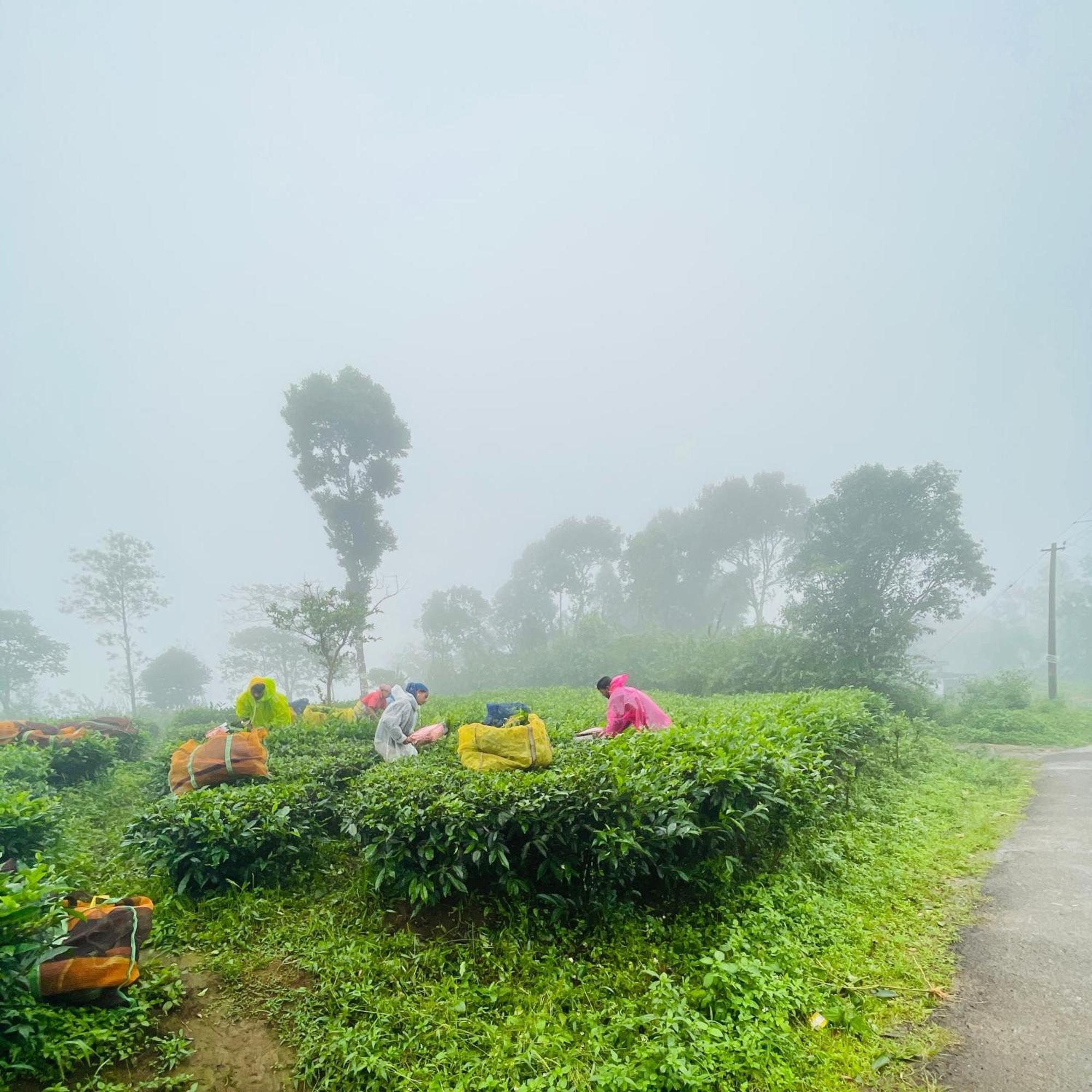Best Mist Idukki Buitenkant foto