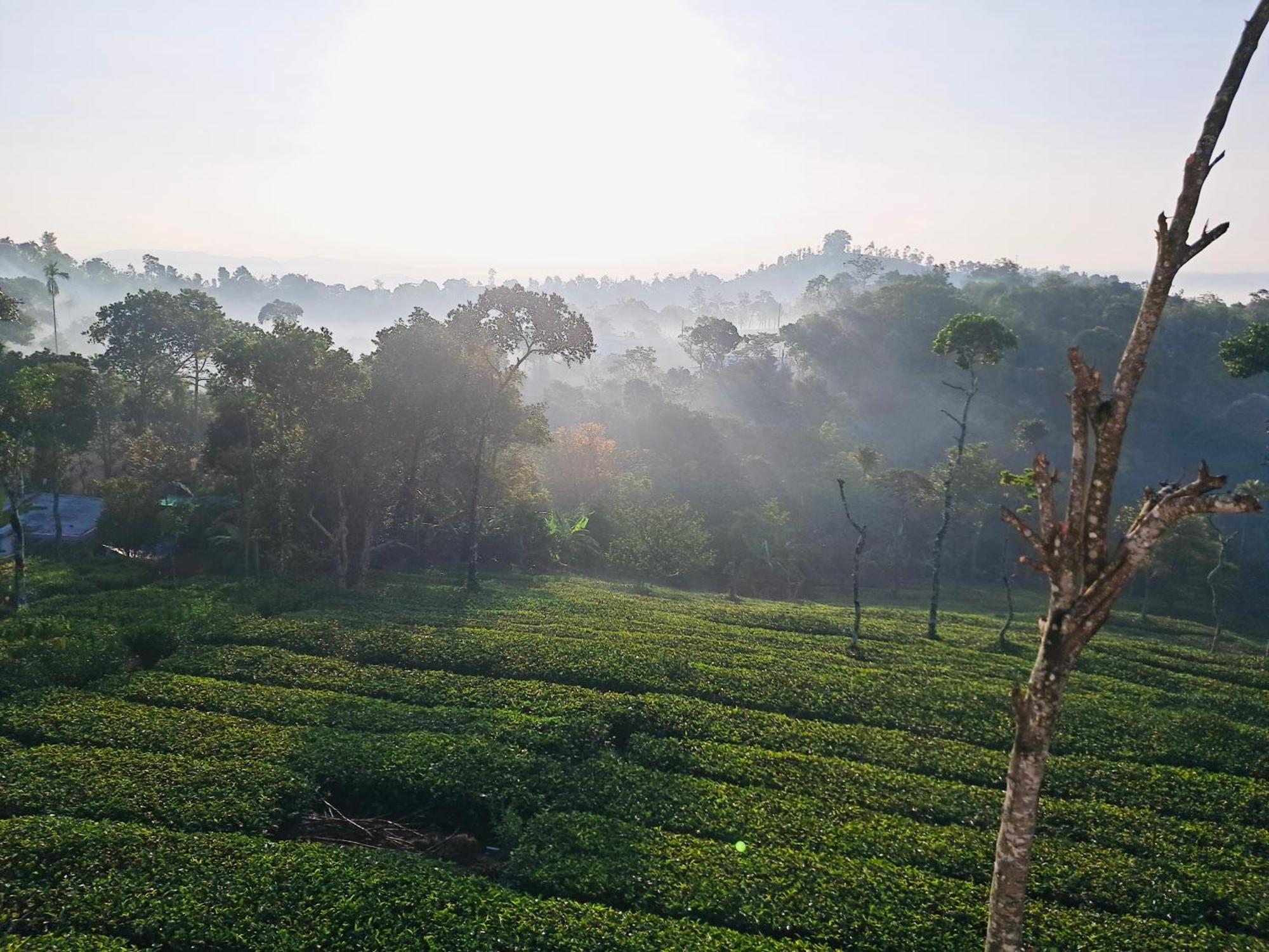 Best Mist Idukki Buitenkant foto